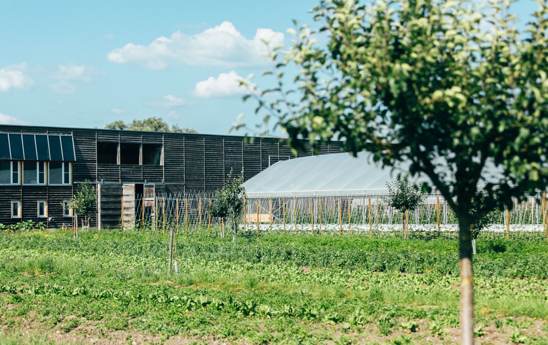 Vetterhof Lustenau Vetterhof Lustenau