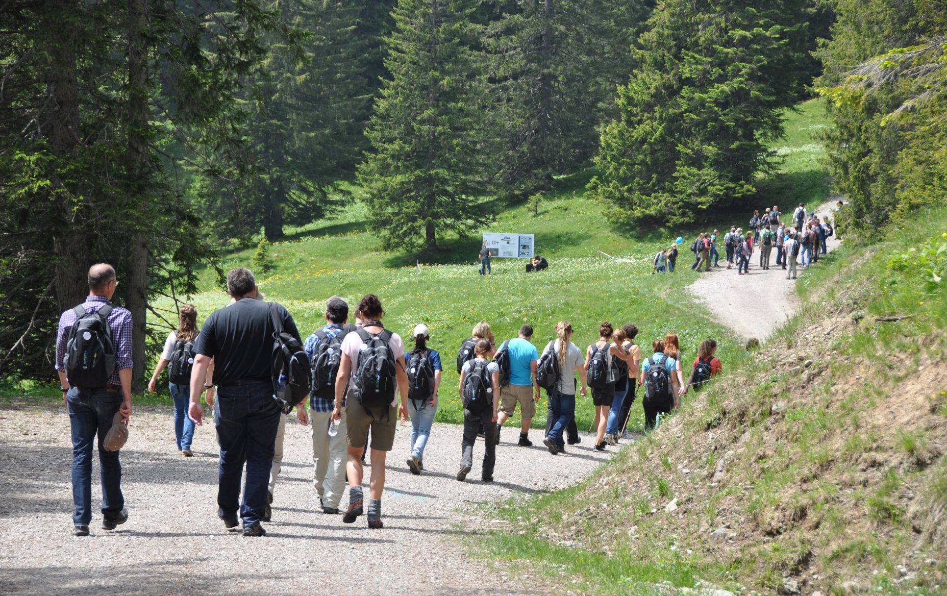 Wanderung, Workshop in der Natur