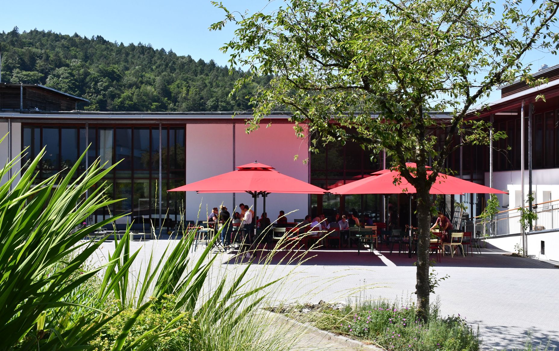 Jugend- und Bildungshaus St. Arbogast, Innenhof Jugend- und Bildungshaus St. Arbogast, Innenhof