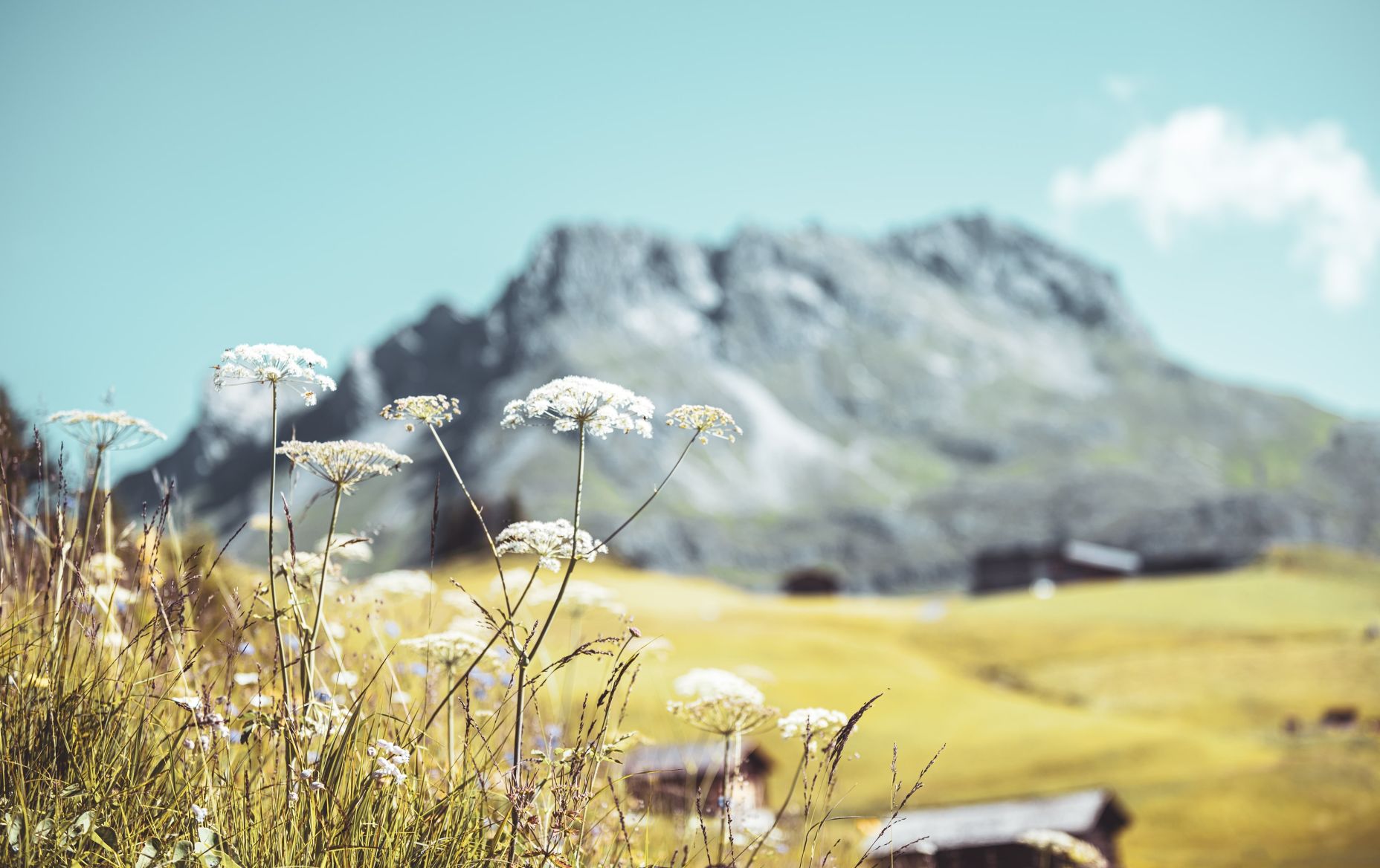 Naturlandschaft Oberlech