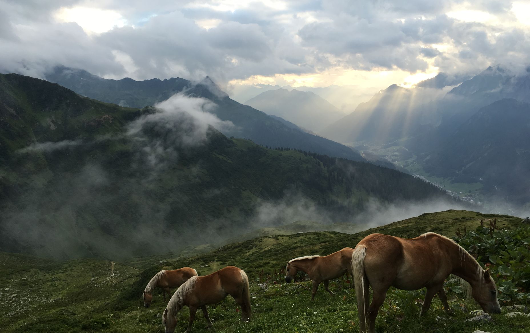 Umgebung Kaltenberghütte, Stuben am Arlberg