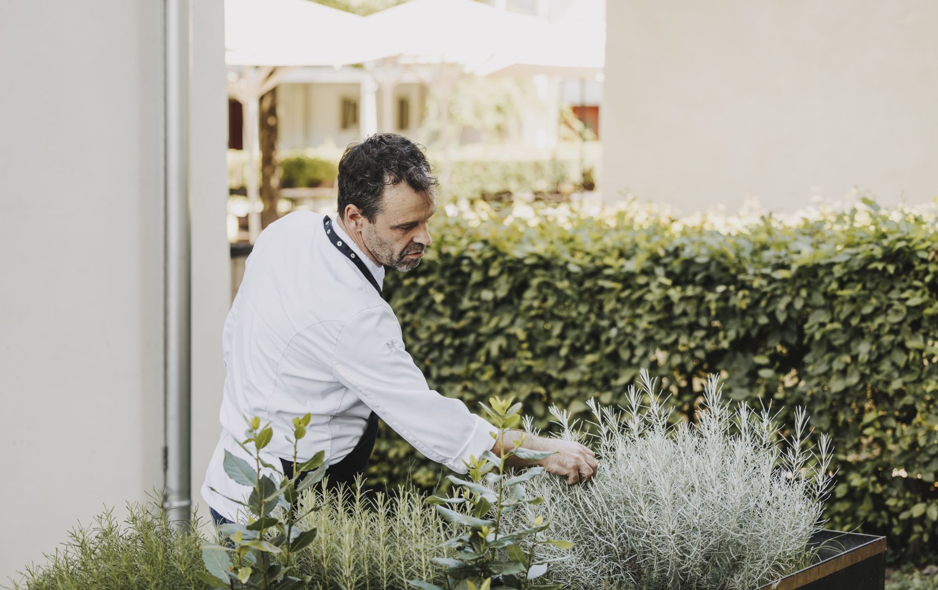 Moritz Bio-Restaurant Hohenems Kräutergarten 