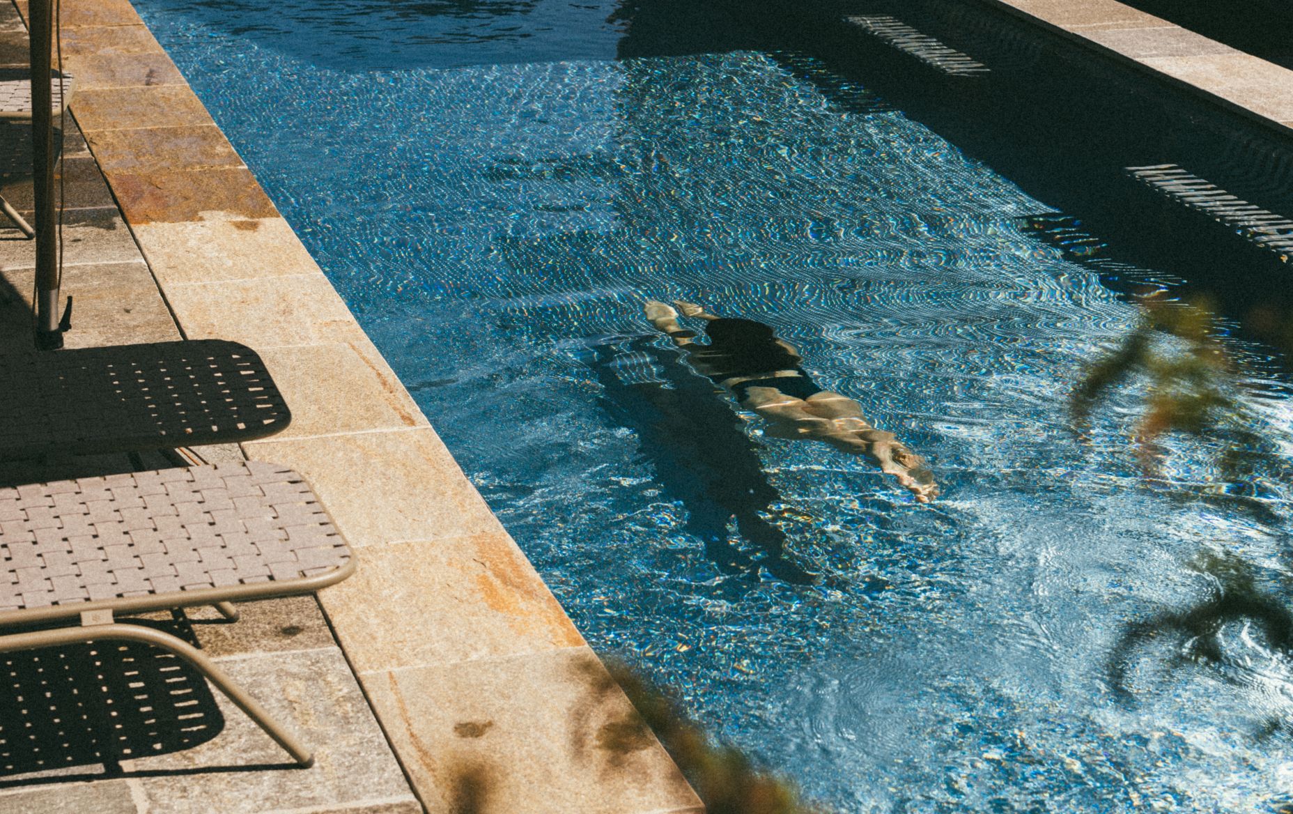 Hirschen Schwarzenberg ol