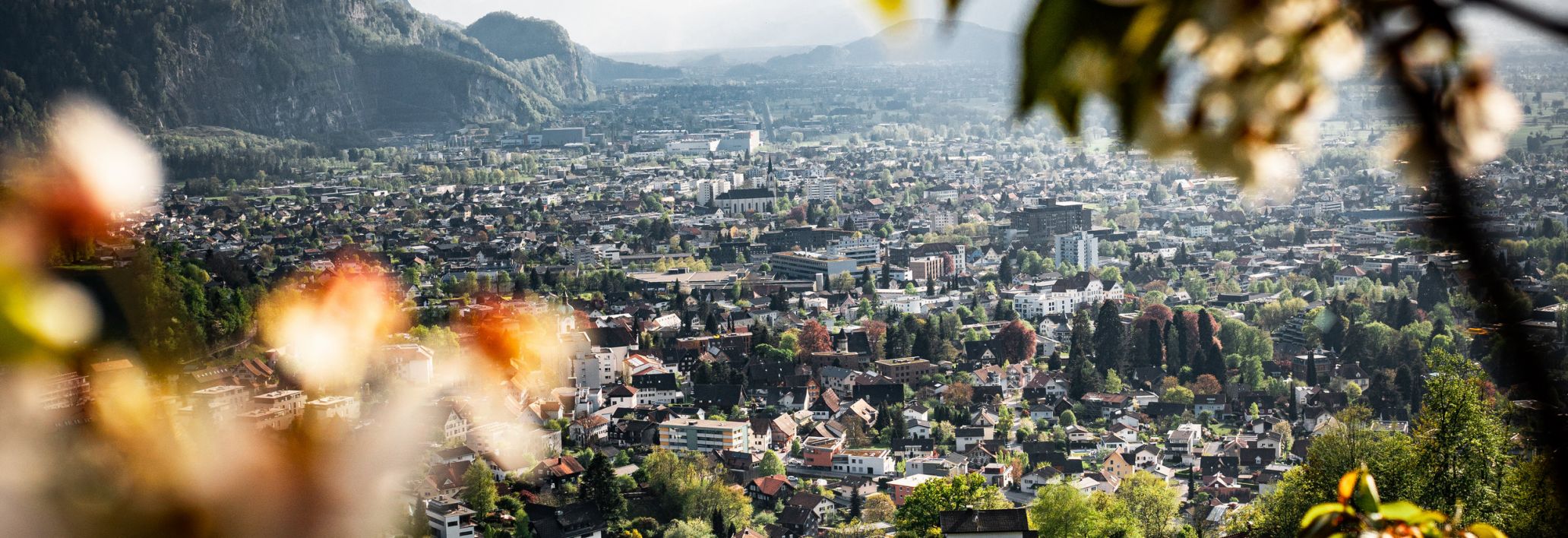 Blick auf Dornbirn Umgebung © Studio Fasching, Dornbirn Tourismus und Stadtmarketing GmbH Blick auf Dornbirn Umgebung © Studio Fasching, Dornbirn Tourismus und Stadtmarketing GmbH