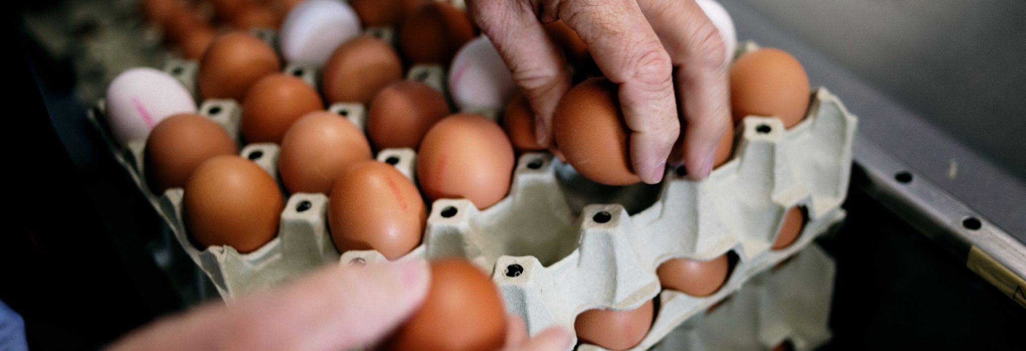 Eier, Geflügelhof Bell Feldirch (1) Eier, Geflügelhof Bell Feldirch (1)