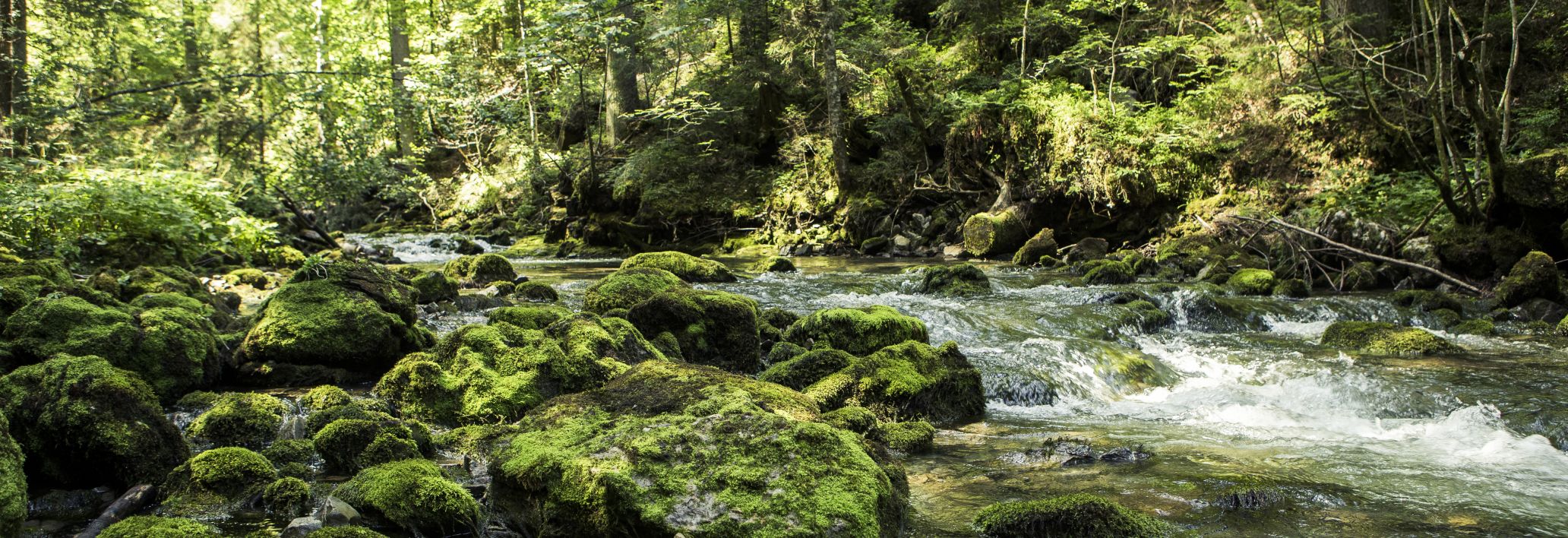 Bergbach, Kleinwalsertal