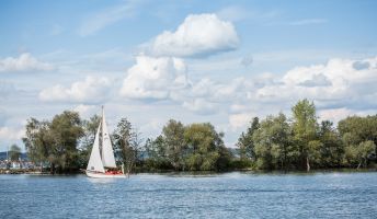 Hafenausfahrt mit Segelboot, Hard am Bodensee