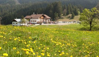 Seminarhotel Millrütte Resort, Götzis Seminarhotel Millrütte Resort, Götzis