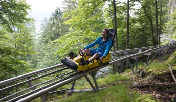 Alpine Coaster, Golm