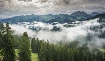 Kleinwalsertal im Nebel Kleinwalsertal im Nebel