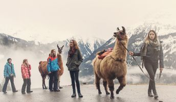 Wandern mit Lamas, Silbertal in Vorarlberg Wandern mit Lamas, Silbertal in Vorarlberg