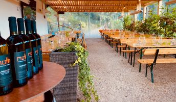 Boutique Weingut Möth