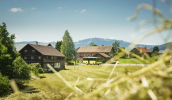 Öffentlicher Verkehr in Vorarlberg