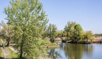 BirdsClub Rheindelta BirdsClub Rheindelta