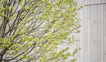 Außenfassade Montforthaus Feldkirch Außenfassade Montforthaus Feldkirch