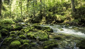 Bergbach, Kleinwalsertal