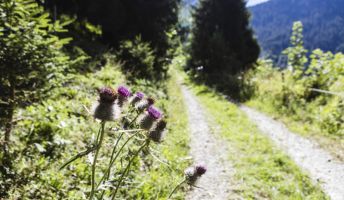 Energieweg  Energieweg