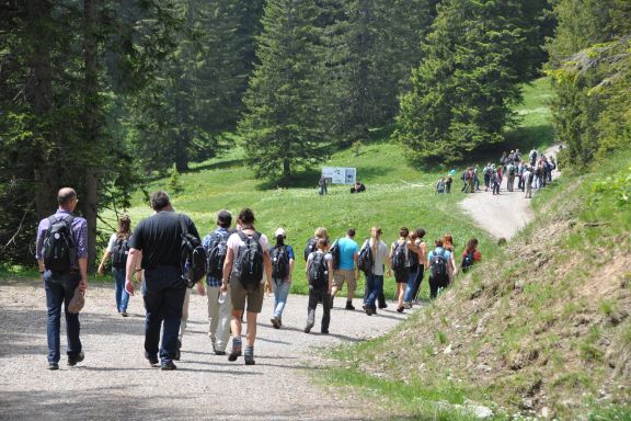 Wanderung, Workshop in der Natur
