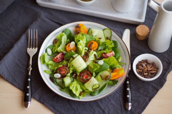 Insekten-Kochworkshop