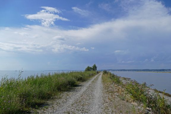 Birdwatching BirdsClub Rheindelta  Birdwatching BirdsClub Rheindelta