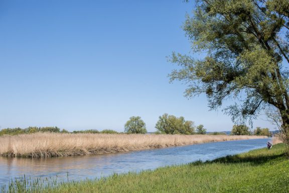 Naturschutzgebiet Rheindelta Birdsclub
