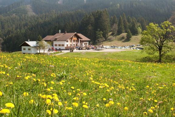 Seminarhotel Millrütte Resort, Götzis