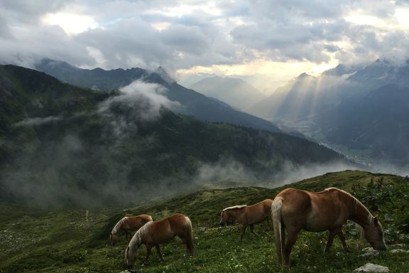 Umgebung Kaltenberghütte, Stuben am Arlberg Umgebung Kaltenberghütte, Stuben am Arlberg