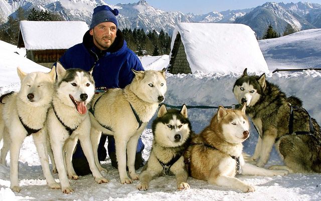 Hundeschlittenfahrt Hundeschlittenfahrt