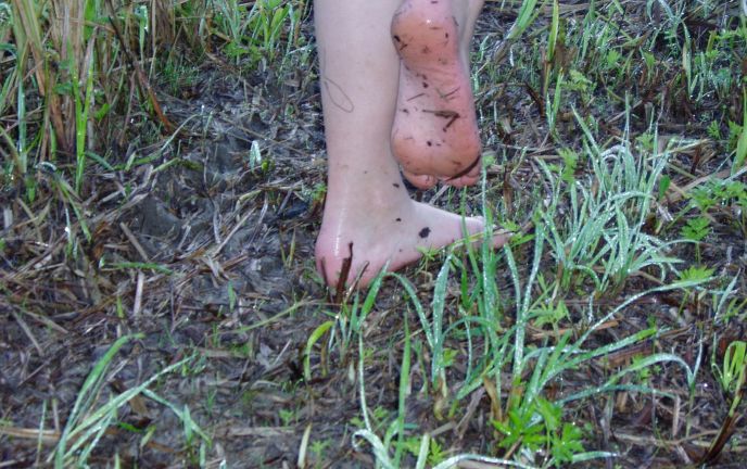 Barfussweg, Bizau Barfussweg, Bizau