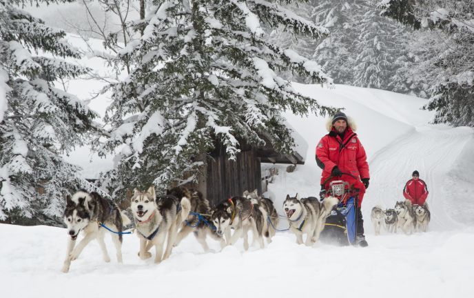 Hundeschlittenfahrt Hundeschlittenfahrt
