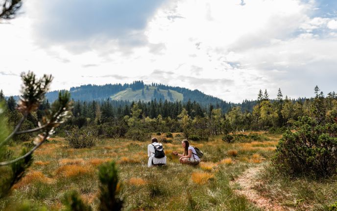 geführte Wanderung Fohramoos Naturerfahrung geführte Wanderung Fohramoos Naturerfahrung