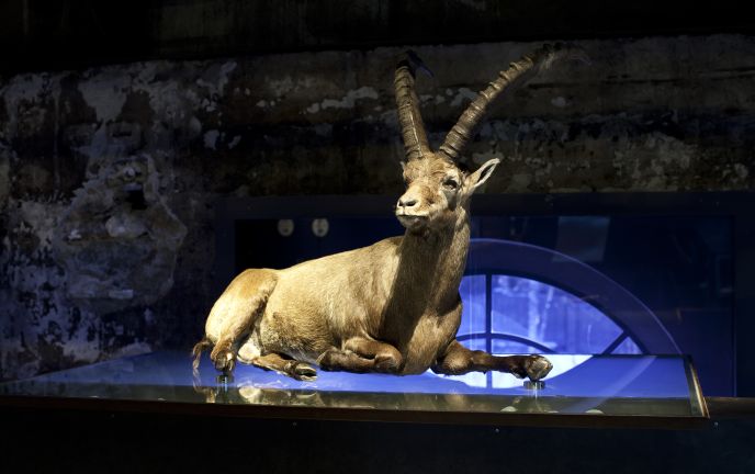 inatura Erlebnisnaturschau inatura Erlebnisnaturschau