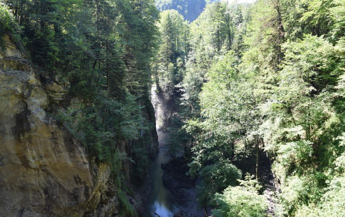 Blick in die Rappenlochschlucht Blick in die Rappenlochschlucht