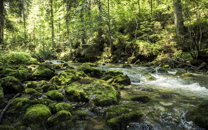 Bergbach, Kleinwalsertal