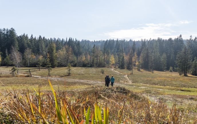Wanderung durch das Fohramoos