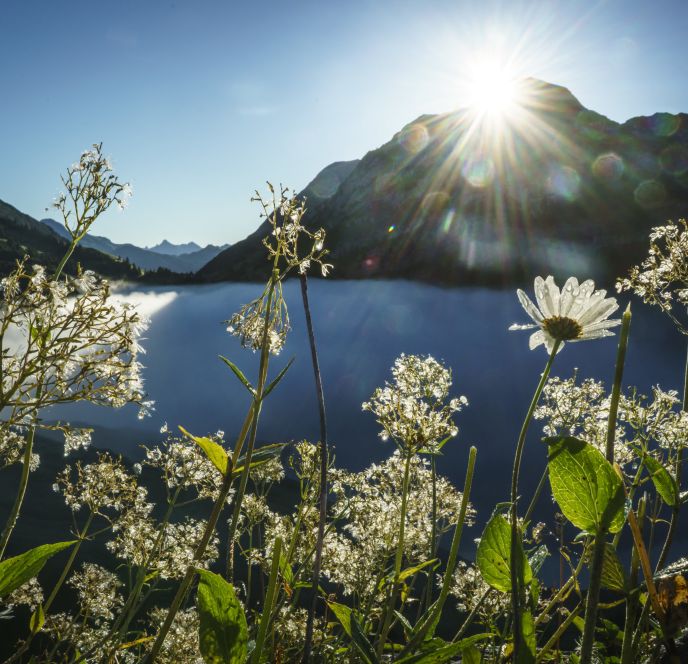 Formarinsee am Morgen bei Sonnenaufgang, Lech am Arlberg