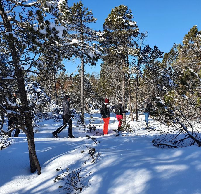 Vorarlberger Naturpicknick, Schneeschuhwanderung BÃ¶dele (c) Sabrina Lutz, Bodensee-Vorarlberg Tourismus (5).jpg