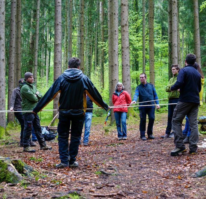 Waldschule Programm 