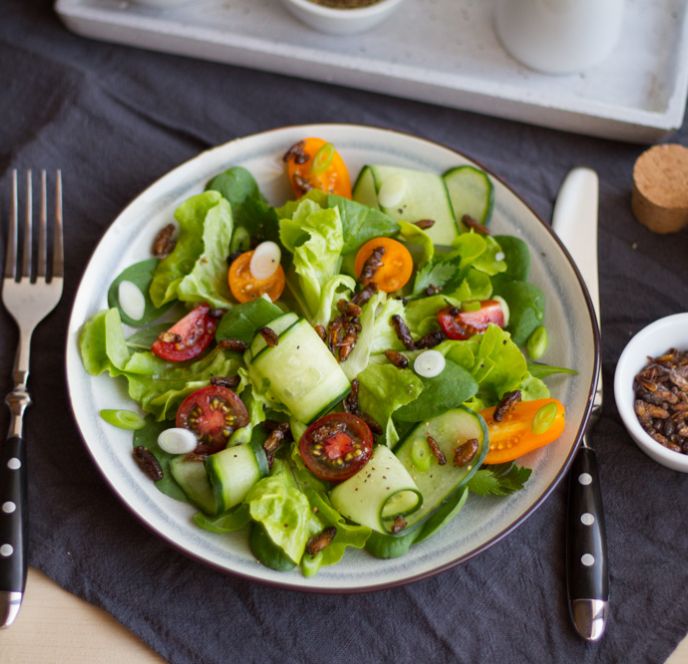 Insekten-Kochworkshop