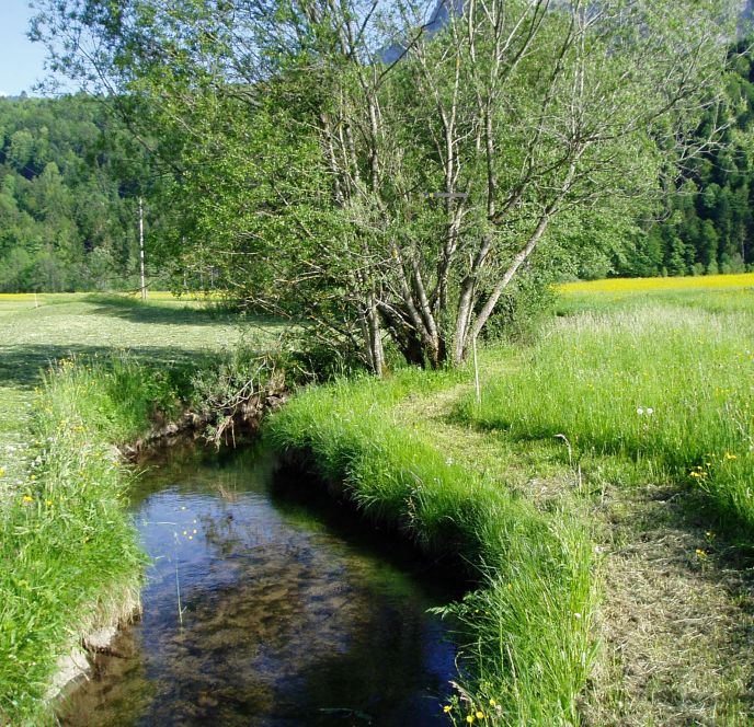 Barfussweg, Bizau Barfussweg, Bizau