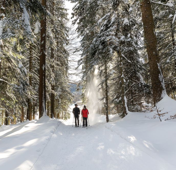 Schneeschuh GeiÃkopf-5.jpg
