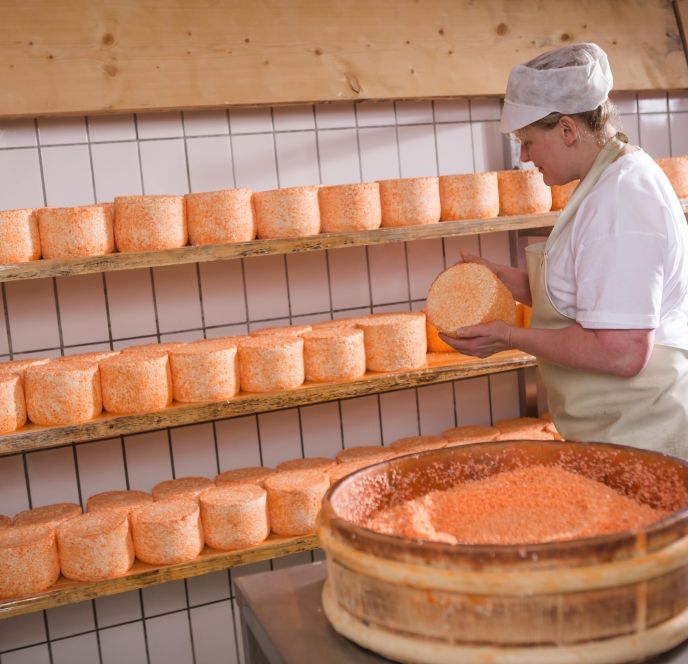 Käse Herstellung - Alpe Nova, Montafon