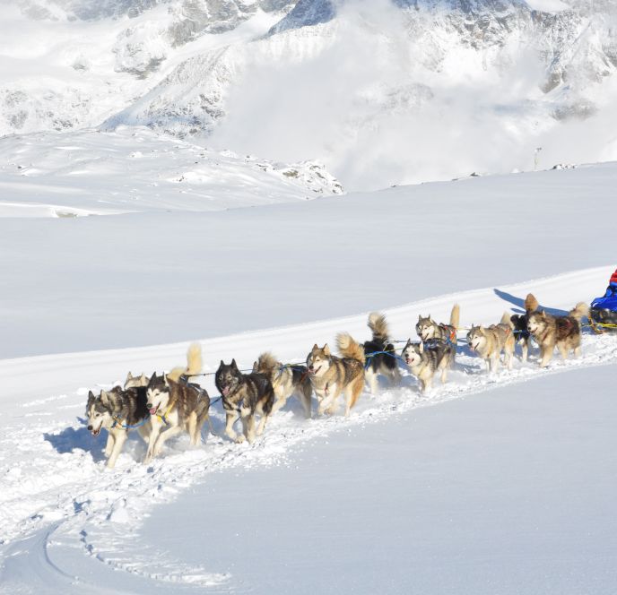 Husky Incentive, Vorarlberg