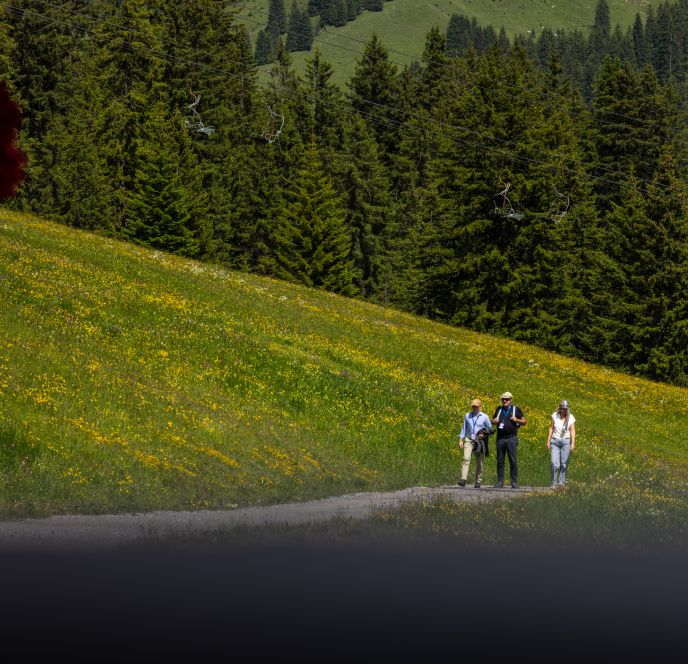 Impact Lech 2025 Impact Lech 2025