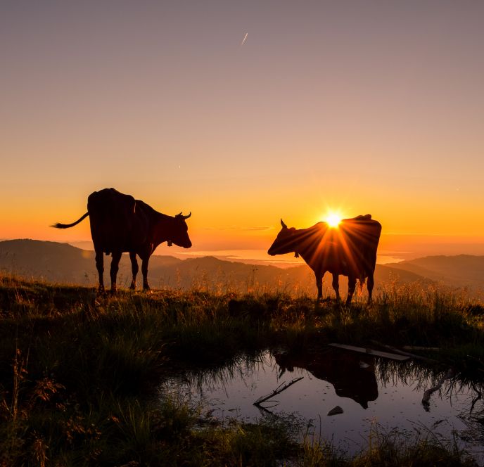 Sonnenaufgangswanderung Vordere Niedere