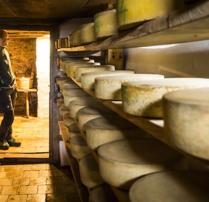 Stutz-Alpe, Kleinwalsertal Stutz-Alpe, Kleinwalsertal