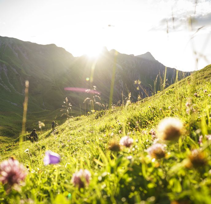 Sonnenuntergang auf der Bärguntalpe, Kleinwalsertal