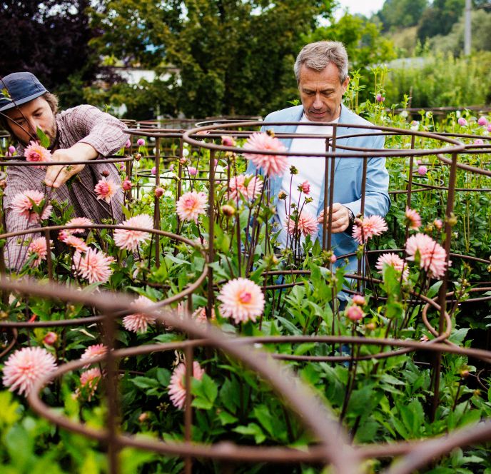 Blumen Kopf und Firmament  
