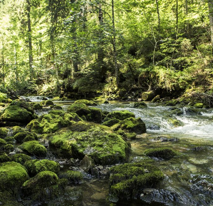 Bergbach, Kleinwalsertal Bergbach, Kleinwalsertal