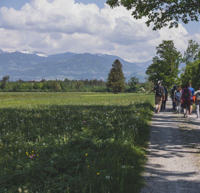 Naturpicknick Bangser Ried Naturpicknick Bangser Ried